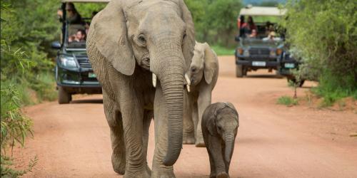 ÁFRICA DO SUL ESPECIAL