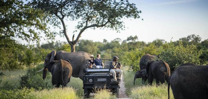SAFARIS NO KRUGER + CIDADE DO CABO